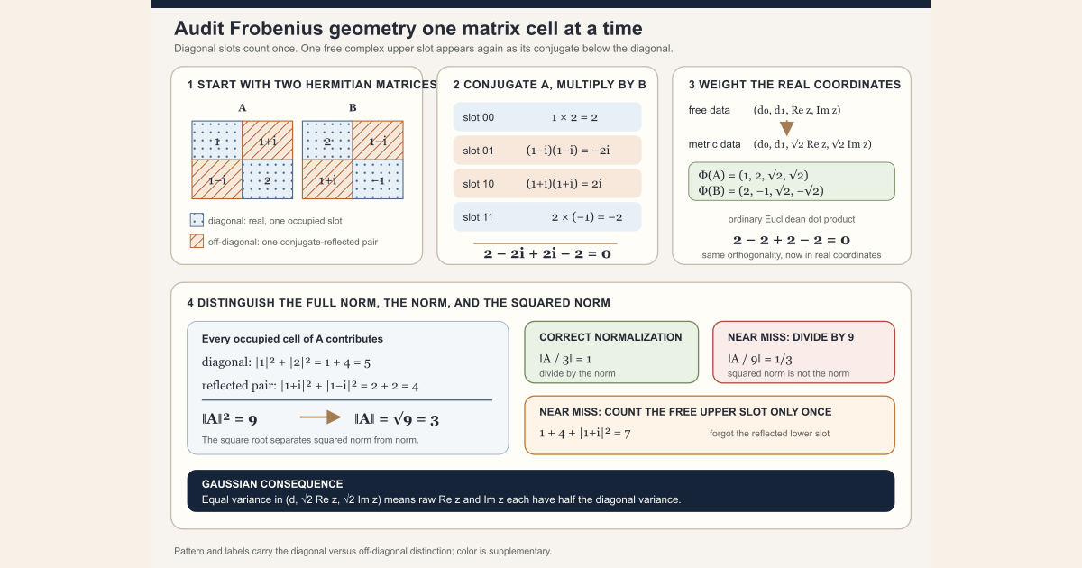 Two explicit Hermitian matrices have Frobenius inner product zero and norm three; the coordinate ledger shows why each reflected off-diagonal component counts twice.